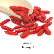 Bagas de Goji a granel de alto bom gosto na China